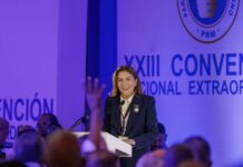 Dirigentes y cuadros perremeistas afirman Carolina Mejia tiene la las estructuras del PRM
